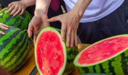 荣宝斋吃瓜视频下载免费,揭秘古董界的趣味瞬间